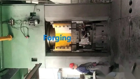 Lavorazione OEM di forgiatura di acciaio al carbonio/acciaio legato/alluminio/magnesio/rame/titanio